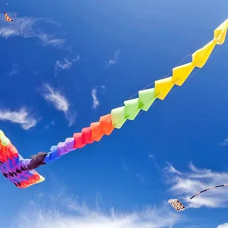 House With Terrace, Ferienhaus