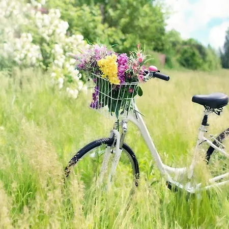 Ferienhaus House With Terrace, Sarbinowo